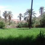 Omar Bouhouch - @o.bouhouch69 - Instagram