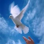 Omar Brenes - @omar.brenes.182 - Instagram