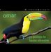 Omar Brenes - Facebook