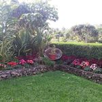 Omar Brenes Arroyo - @omar29642020 - Instagram