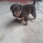 Omar Buitron - @buitron_omar - Instagram