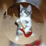 Omar Caal - Facebook