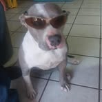 Omar Cabrales - Facebook