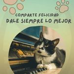 Omar Andres Candia Candia - @omar.a.candia - Instagram