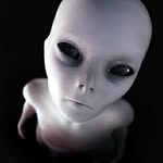 Omar Shariff - @omarcannon62 - Instagram
