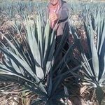 Omar Capetillo - @capetillo1413 - Instagram