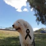 Omar Capetillo - @omarcap_20 - Instagram