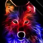 Omar Capistran - Facebook
