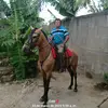 Omar. - @omarcarballo06 - TikTok