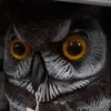 omarcavazos275 - @omar.cavazos29 - TikTok