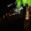 omaracelis - @omaracelis - TikTok