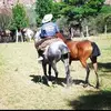 omar correa - @omarcorrea43 - TikTok