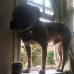 Omar Durrani - @omardurrani448 - Instagram