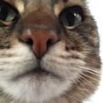 Omar Durrani - @omarrrrrd - Instagram