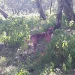 Omar Enriquez - Facebook