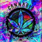 Omar Escalante - @omar.escalante.92754 - Instagram
