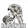 Omar  Falcon - @omar.falcon31 - TikTok