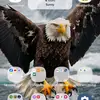 Omer Fuller - @omer.fuller - TikTok