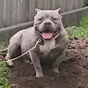 Omar Galvan - @omar.galvan54 - TikTok