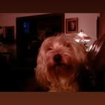 Omar Harris - @omarharris66 - Instagram