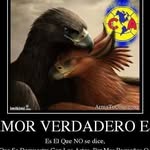 Omar Holguin - @holguin3782 - Instagram