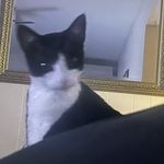 Omar Iqbal - @_omariqbal - Instagram
