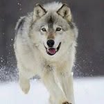 Omar Jacinto - @omarjacinto5209 - Instagram