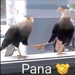 Omar Leyva - @omar.leyva.125760 - Instagram