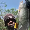 gogetta - @omar.lindo6 - TikTok