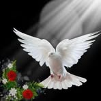 Omar Lua - Facebook