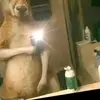 omar Macías tin 🦘 canguro - @omar.macias21 - TikTok