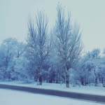 Omar - @omar_mansur_ - Instagram