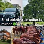 Omar Alexis Morantes - Facebook