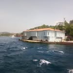 OMAR MUJAHID - @_omvr7 - Instagram