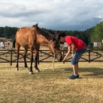 Omar Mullakhater - @omar_mullakhater - Instagram