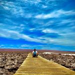 Omar Saavedra Olave - @omarsaav - Instagram