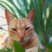 Omar Osorio - Facebook