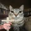 omar pace - @new_kenny - TikTok