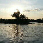 Omar Pichardo - @omar.pichardo - Instagram