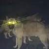 Omar Pino - @omar.pino2 - TikTok