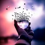 𓆩༢࿔ྀુ𝑶𝒎𝒂𝒓 𝑨𝒍 𝑹𝒂𝒎𝒔𝒆𝒚✭𓅃 - @omar_alramesy - Instagram