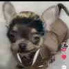 Omar Ruelas - @omar.ruelas2 - TikTok