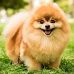 Omar Saab - @omar__saab__ - Instagram