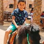 Omar Saab - @omar.saab.391 - Instagram