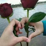 Omar Saab - @omarsaab2013 - Instagram