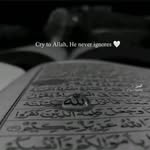 OMAR FARUK SADIK - @omarsadik_52 - Instagram