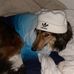 Omar Sadik - Facebook