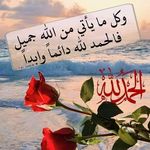 Hiba Omar Sadouk - @hibaomarsa - Instagram