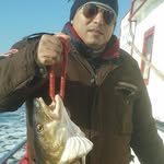 Omar Safadi - @osc0271 - Instagram