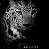 omar$ - @omarsalameh717 - TikTok